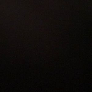 Meet your Posher, Elvia